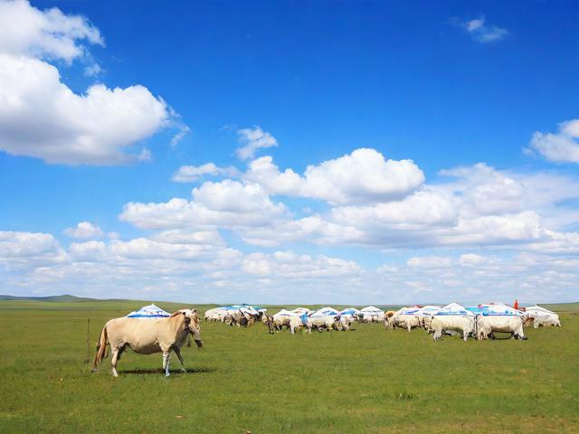 内蒙人开的传奇私服推荐 - 稳定好玩不卡顿的草原特色游戏