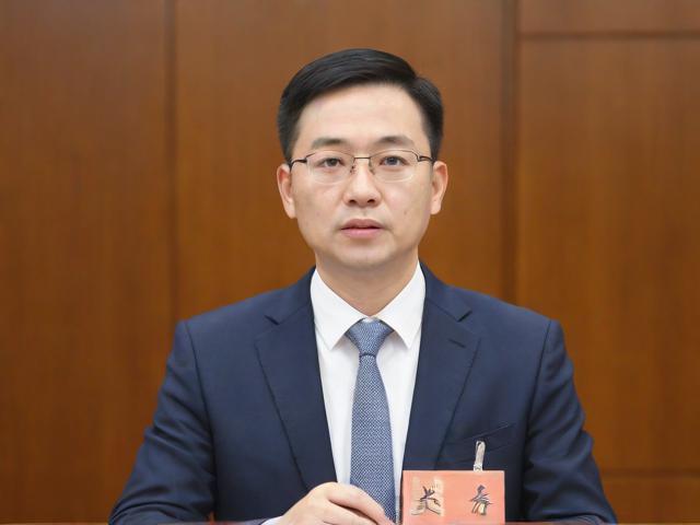 揭秘龙祥锦园曹春锋传奇私服案：私服运营的法律风险与玩家警示